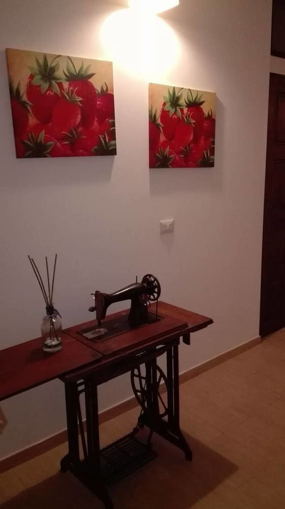 B&B Le Coppe Bisceglie Exterior photo